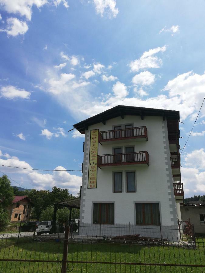 Pensiune Stirbu Borsa  Kültér fotó